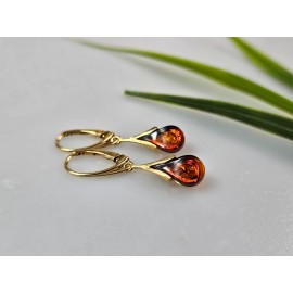 Auksiniai auskarai auksiniai auskarai su gintaru Gintariniai auskarai Dovana mamai Dovana jai