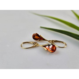 Auksiniai auskarai auksiniai auskarai su gintaru Gintariniai auskarai Dovana mamai Dovana jai