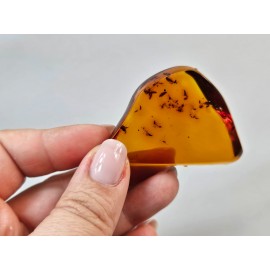 Gintaras su inkliuzu, Baltijos gintaras, gintaro grynuolis 