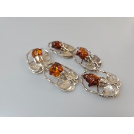 Sagė rožė sidabrinė