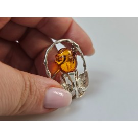 Sagė rožė sidabrinė