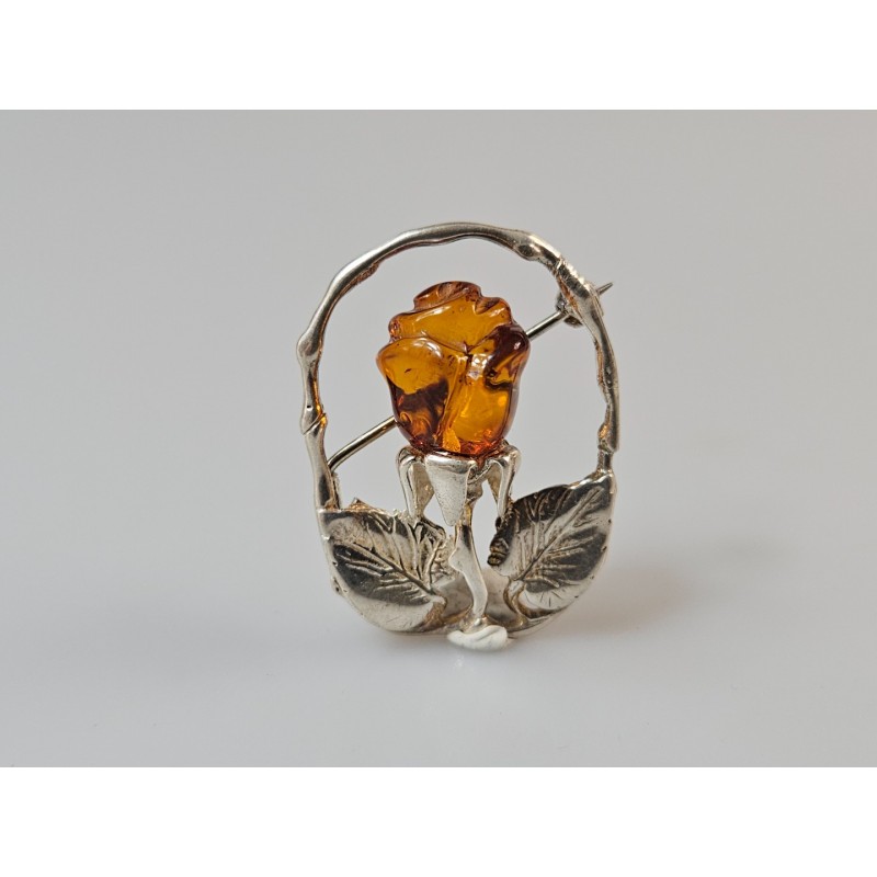 Sagė rožė sidabrinė