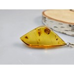 Gintaras pakabukas gintarinis pakabukas dovana mamai žmonai Kalėdos