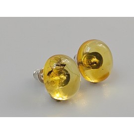 Gintariniai auskarai vinukai su inkliuzu. Dovana Jai. Mamos dienos proga