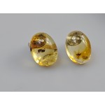 Gintariniai auskarai vinukai su inkliuzu. Dovana Jai. Mamos dienos proga