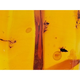 Gintaras su inkliūzais didelis gintaro akmuo suvenyras iš Lietuvos 