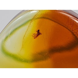 Didelis gintaro Pakabukas gintarinis pakabukas su gintaru dovana jai gimtadienio