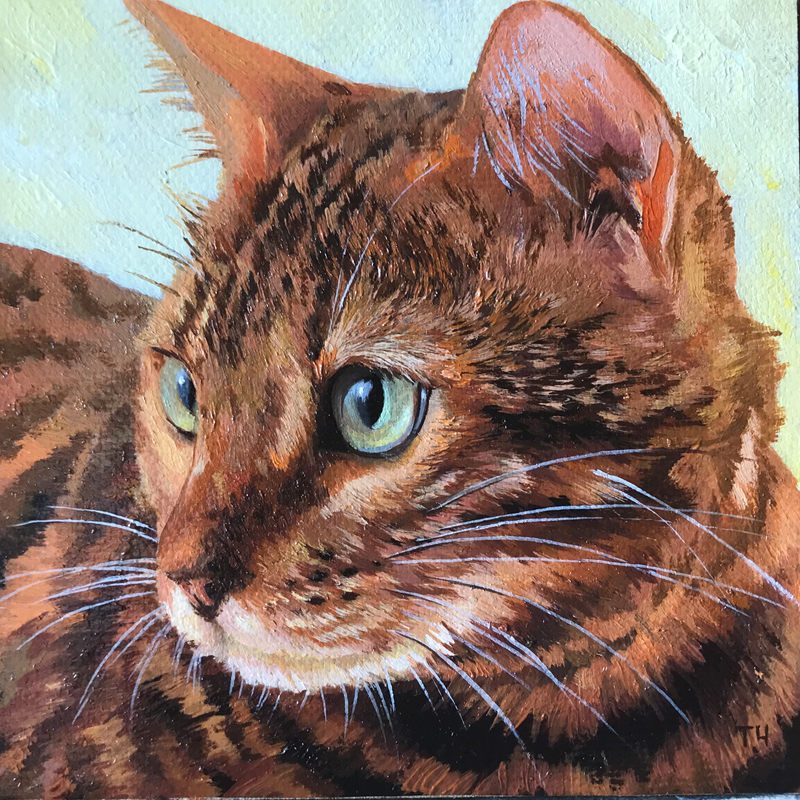 Miniatiura "Naminė katė" Miniatiura "Naminė katė"