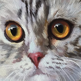 Miniatiura "Škotų nulėpausis"  Miniatiura "Škotų nulėpausis"