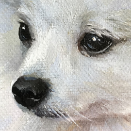 Miniatiura "Baltas špicas" Miniatiura "Baltas špicas"