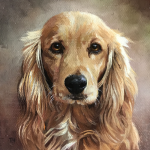 Miniatiura "Anglų kokerspanielis" Miniatiura "Anglų kokerspanielis"