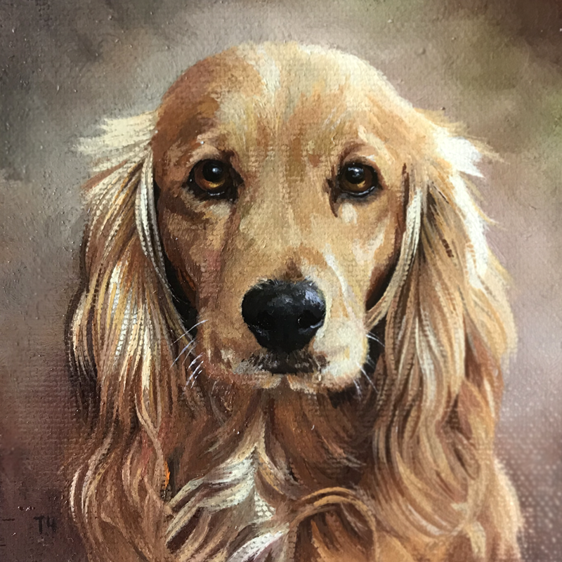 Miniatiura "Anglų kokerspanielis" Miniatiura "Anglų kokerspanielis"