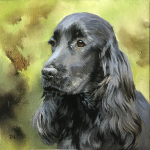 Miniatiura "anglų kokerspanielis 2" Miniatiura "anglų kokerspanielis 2"