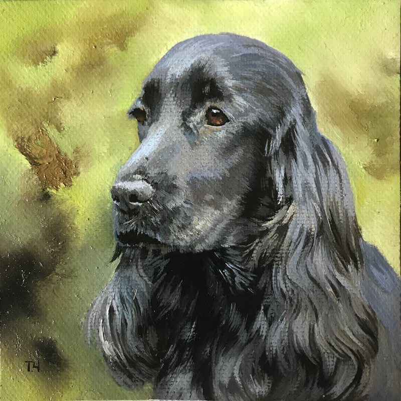 Miniatiura "anglų kokerspanielis 2" Miniatiura "anglų kokerspanielis 2"