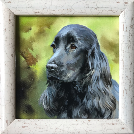 Miniatiura "anglų kokerspanielis 2" Miniatiura "anglų kokerspanielis 2"