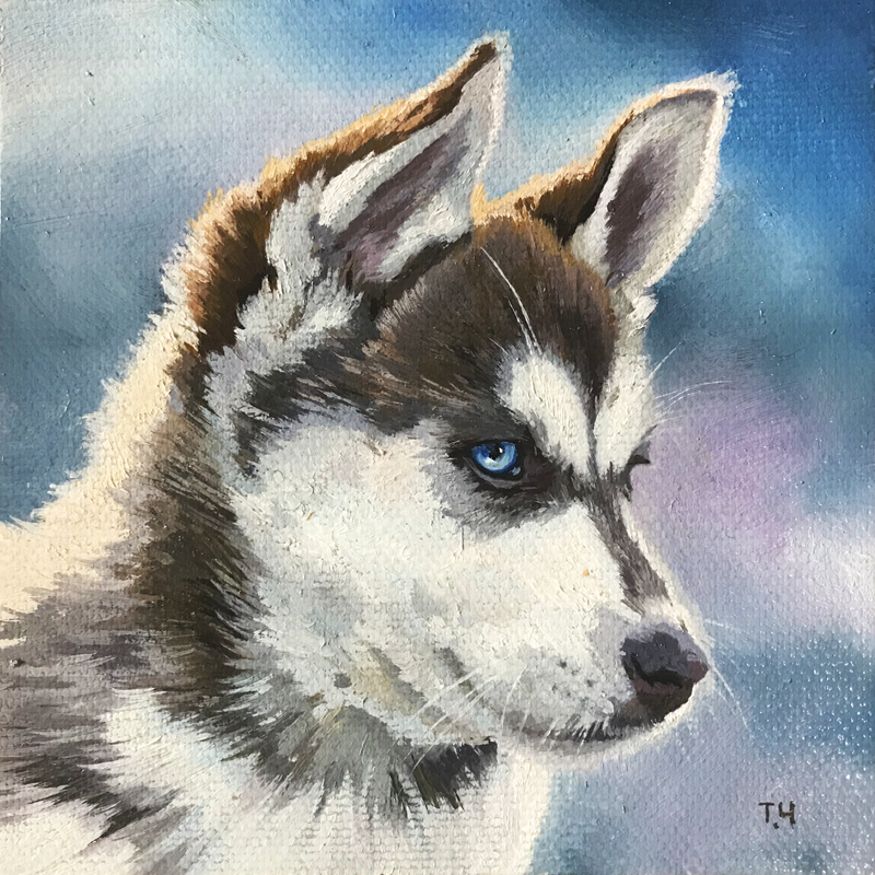 Miniatiura " Sibiro haskis" Miniatiura " Sibiro haskis"