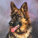 Miniatiura "Vokiečių aviganis 3" Miniatiura "Vokiečių aviganis 3"