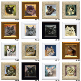 Paveiksliukai -magnetukai "kačiukai" Paveiksliukai -magnetukai "kačiukai"