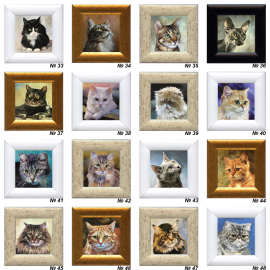 Paveiksliukai -magnetukai "kačiukai" Paveiksliukai -magnetukai "kačiukai"