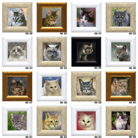 Paveiksliukai -magnetukai "kačiukai" Paveiksliukai -magnetukai "kačiukai"