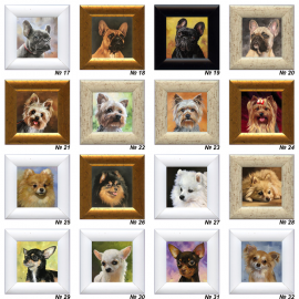 PAVEIKSLIUKAI -MAGNETUKAI "Šuniukai" PAVEIKSLIUKAI -MAGNETUKAI "Šuniukai"