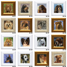 Paveiksliukai -magnetukai "šuniukai" Paveiksliukai -magnetukai "šuniukai"