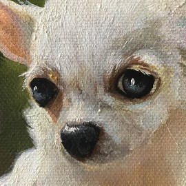 Miniatiūra "Balta čihuahua"