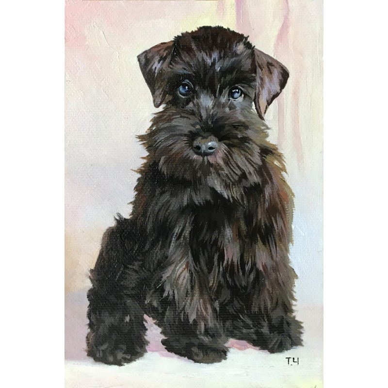 Miniatiūra "Juodas miniatiūrinis šnauceris" Miniatiūra "Juodas miniatiūrinis šnauceris"