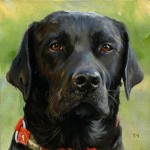 Miniatiūra "Juodasis labradoras" Miniatiūra "Juodasis labradoras"