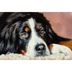 Miniature «Bernese Mountain Dog» Miniature «Bernese Mountain Dog»