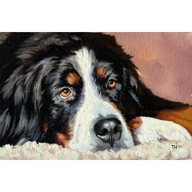 Miniature «Bernese Mountain Dog»