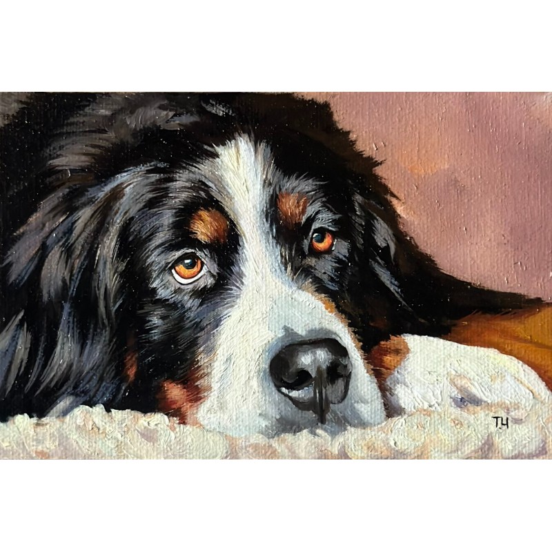 Miniature «Bernese Mountain Dog» Miniature «Bernese Mountain Dog»