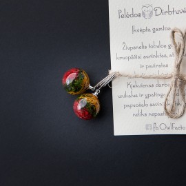 Sidabriniai auskarai "Trispalvė širdyje"