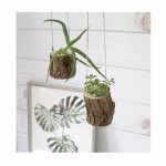 Augalų vazonėliai (2 vnt.)