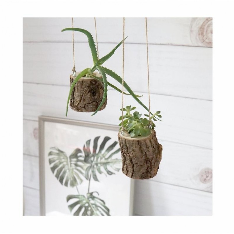 Augalų vazonėliai (2 vnt.)