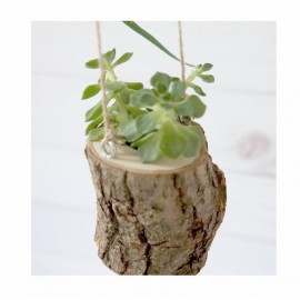 Augalų vazonėliai (2 vnt.)