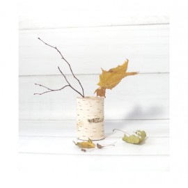 Beržinė pieštukinė