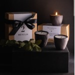 Kvapi sojų vaško žvakė "Mėnulis"