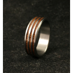 Titano žiedas su medžio juostelėmis