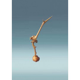 Medinis paukštis Medinis paukštis