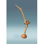 Medinis paukštis Medinis paukštis