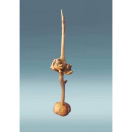 Medinis paukštis Medinis paukštis