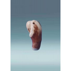 Medinė skulptūra - papūga