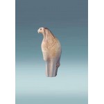 Medinis paukštis Medinis paukštis