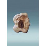 Medinis rūpintojėlis