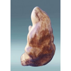 Medinis rūpintojėlis