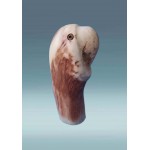 Medinė skulptūra - papūga