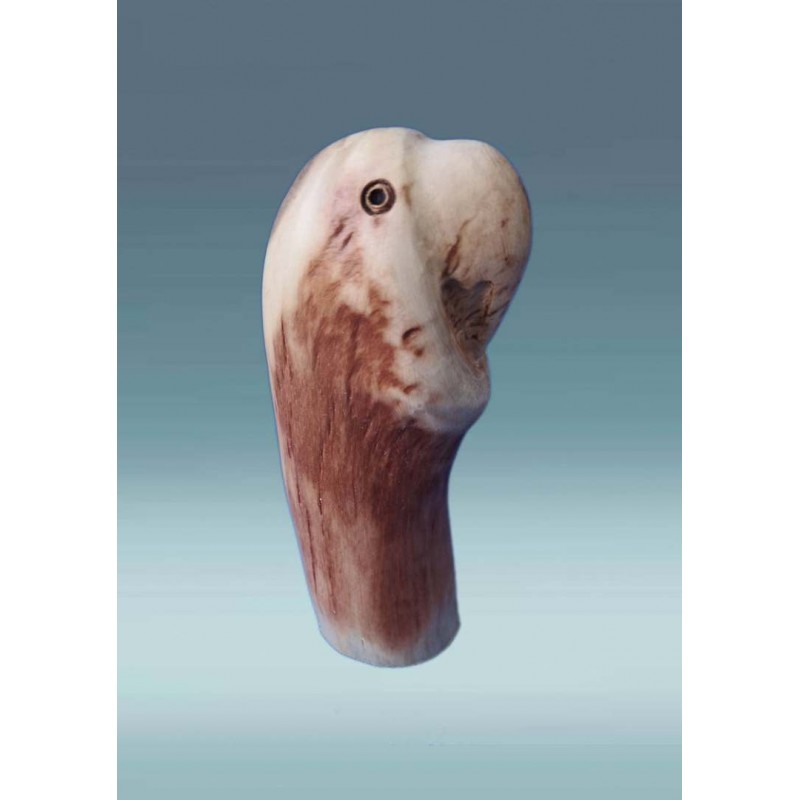 Medinė skulptūra - papūga