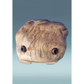 Medinė varlė Medinė varlė