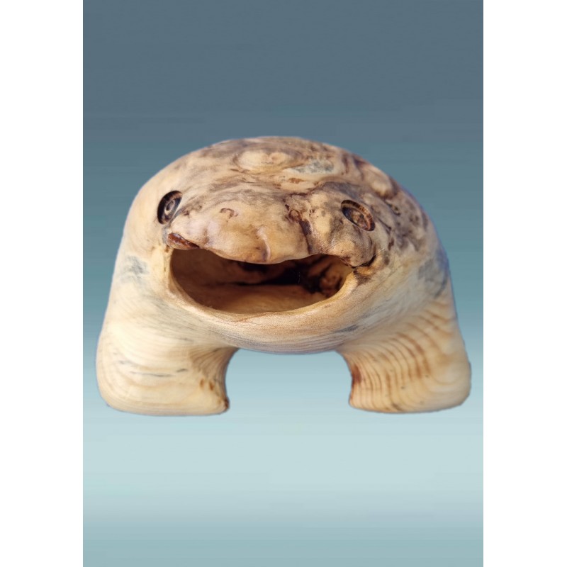 Medinė varlė Medinė varlė